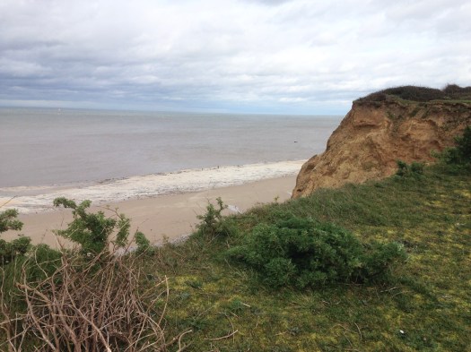 3AFF94CE-05E4-407A-B705-2E66DCC09518_1_201_a