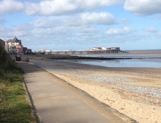 E79942A6-4F7E-4F85-9E52-9AE43E1FB63E_1_201_a